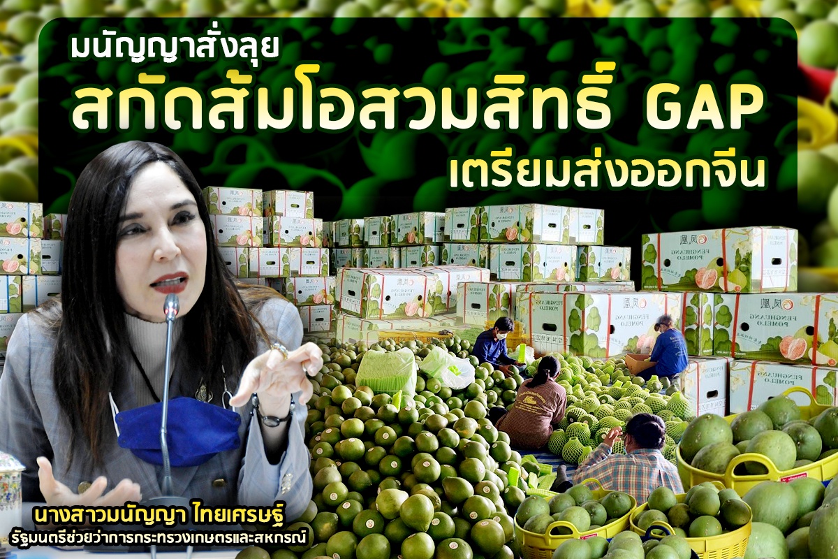 มนัญญาสั่งลุย! สกัดส้มโอสวมสิทธิ์ใบรับรอง GAP เตรียมส่งออกจีน