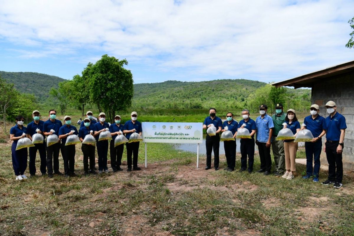 CP Foods continues to expand green areas in Pasak Watershed Forest in Lopburi province