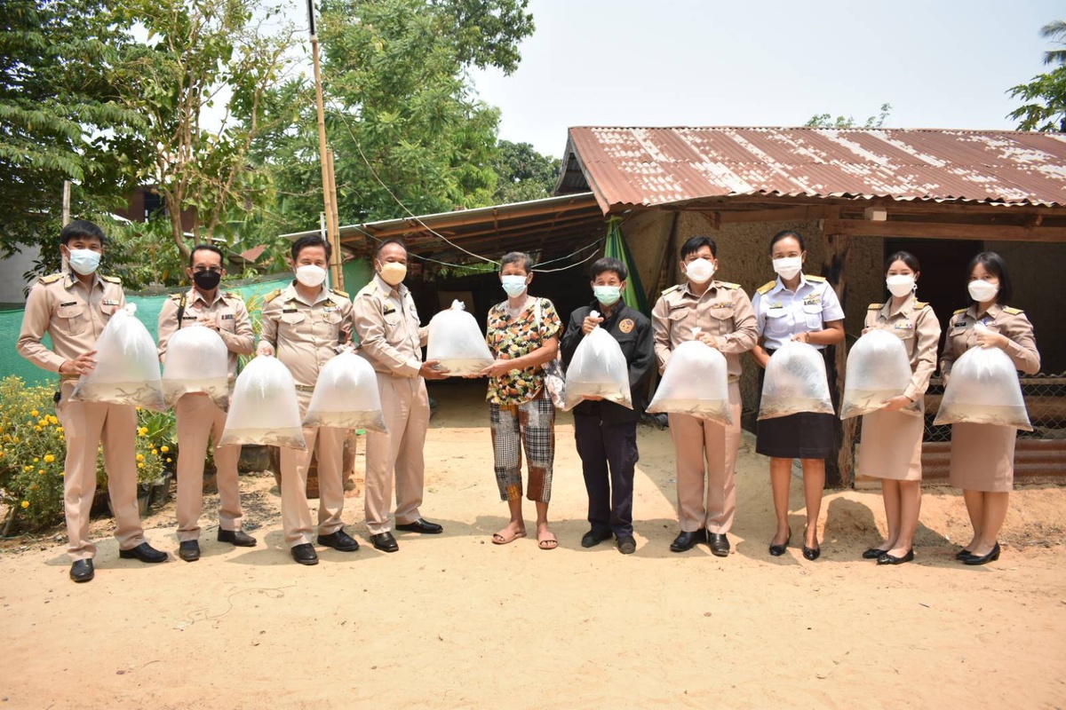 สนพ.อำนาจเจริญ มอบพันธุ์ปลาดุก 1,000 ตัว ช่วยเหลือครัวเรือนประเภท : A (หัวไวใจสู้)