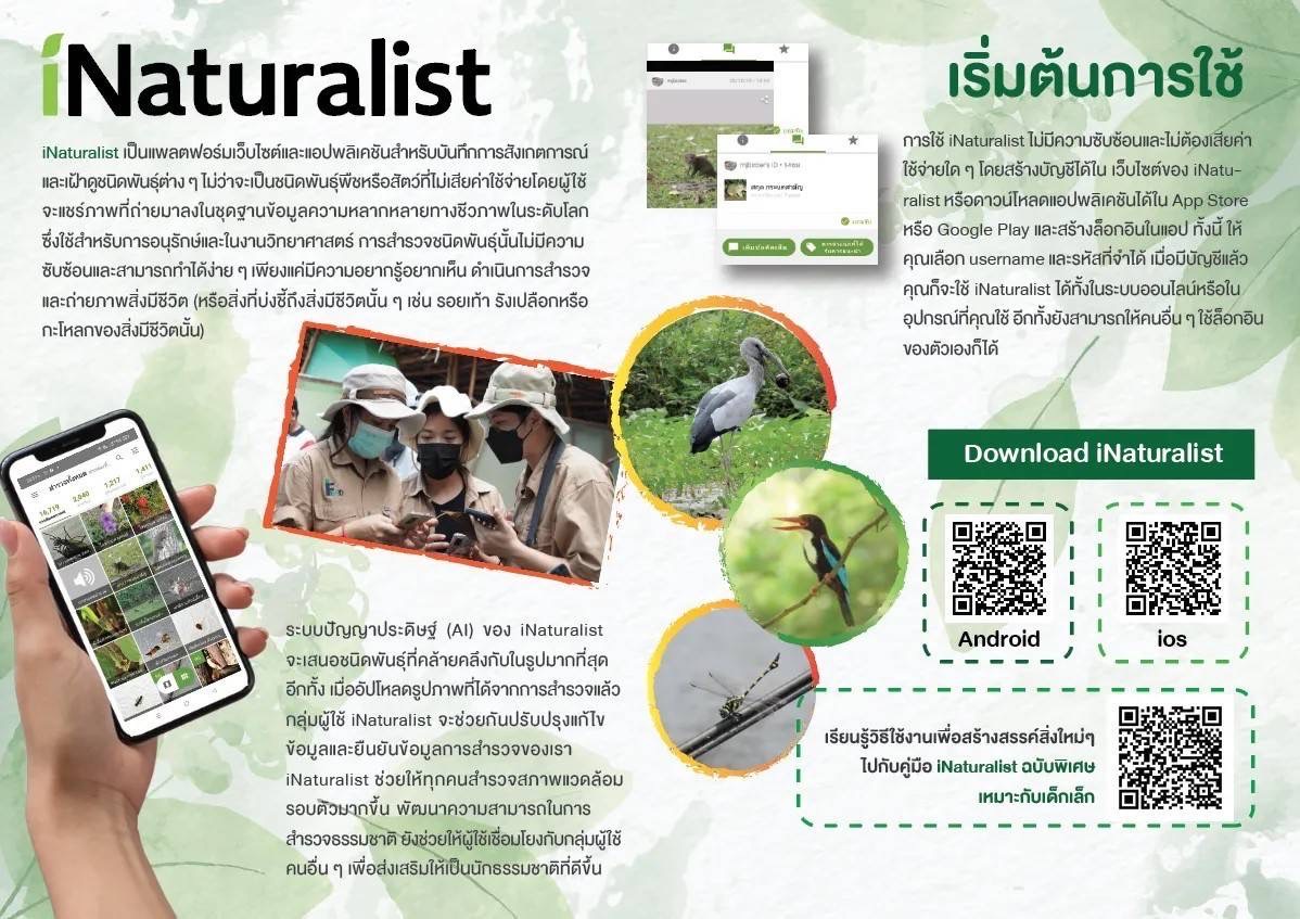Dow Thailand Mangrove Alliance ชวนคนไทยร่วมชาเลนจ์ แข่งสำรวจธรรมชาติในเมืองกับประเทศต่าง ๆ ผ่านแอป iNaturalist