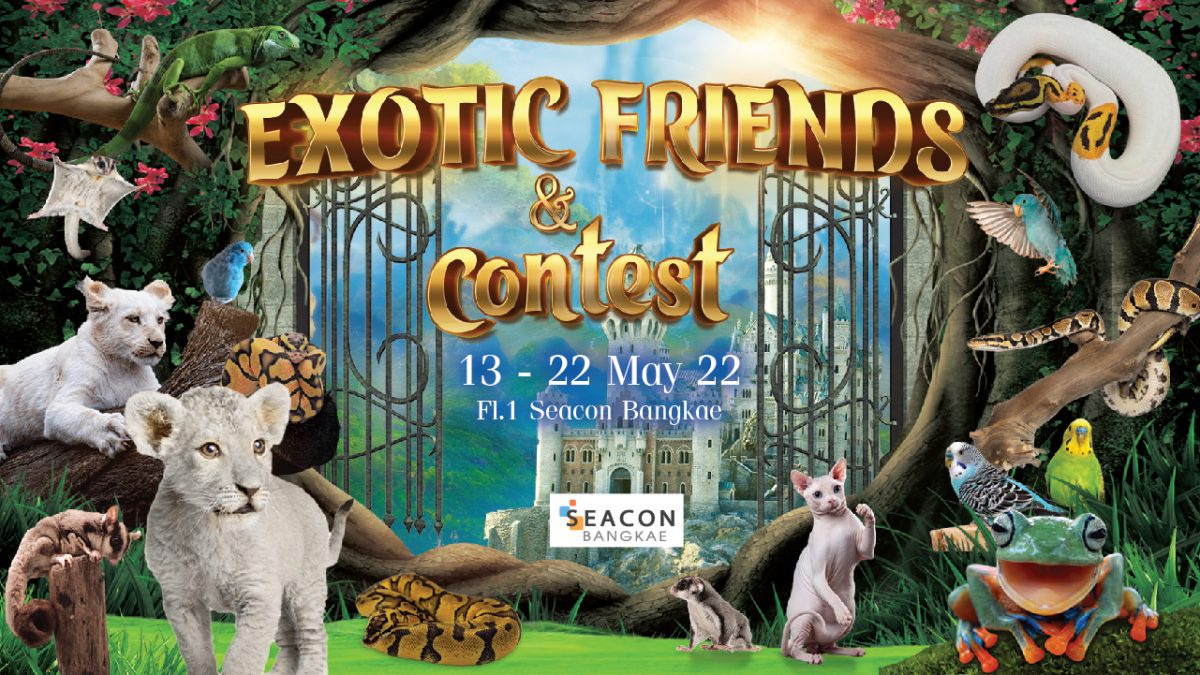 ครั้งแรกในไทย! ซีคอน บางแค จัดงาน EXOTIC FRIENDS contest ประกวดสัตว์ EXOTIC มากสุดเป็นประวัติกาล