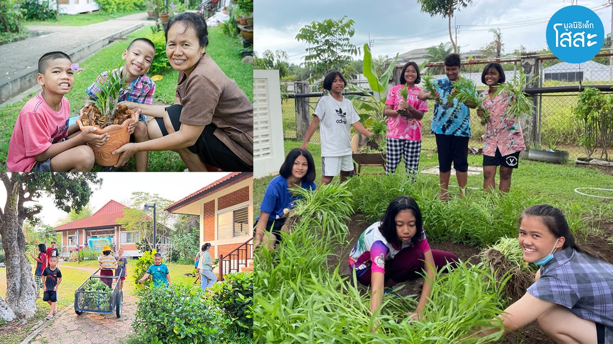 มูลนิธิเด็กโสสะฯ ลงมือแล้ว เพิ่มพื้นที่สีเขียวเพื่อสิ่งแวดล้อม และพึ่งพาตนเองอย่างยั่งยืน