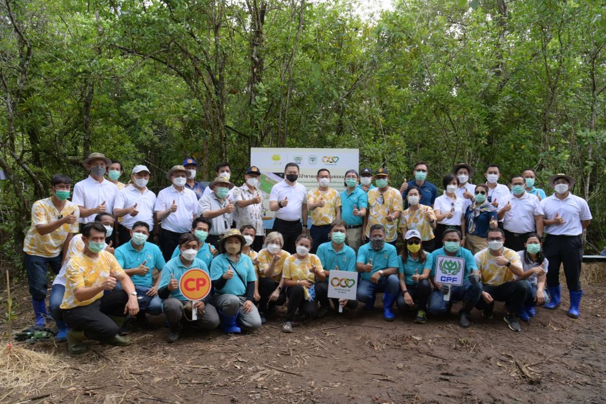 CP Foods kicks off a mangrove forestation in Trat province