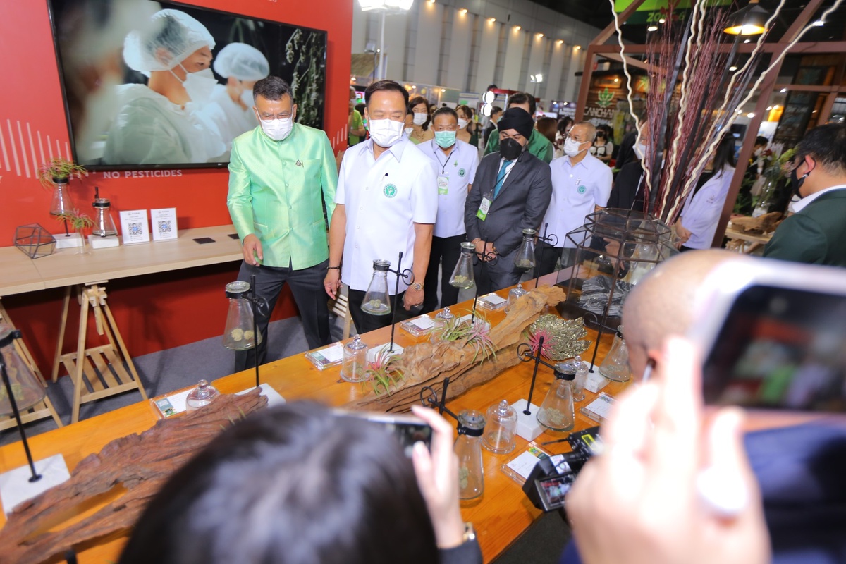 บีสโปคฯ ในเครือ บูทิค คอร์ปอเรชั่น นำแบรนด์ KANA ร่วมงาน Thai herbal expo 2022 ย้ำ หนึ่งในผู้นำคลินิกกัญชาเพื่อสุขภาพระดับไฮเอนด์