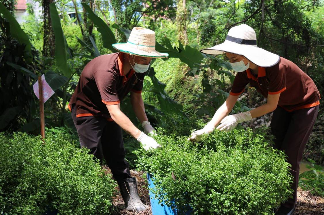 โรงแรมเฮอริเทจ เชียงราย โฮเทล แอนด์ คอนเวนชั่น ชวนเติมพลัง Green Energy