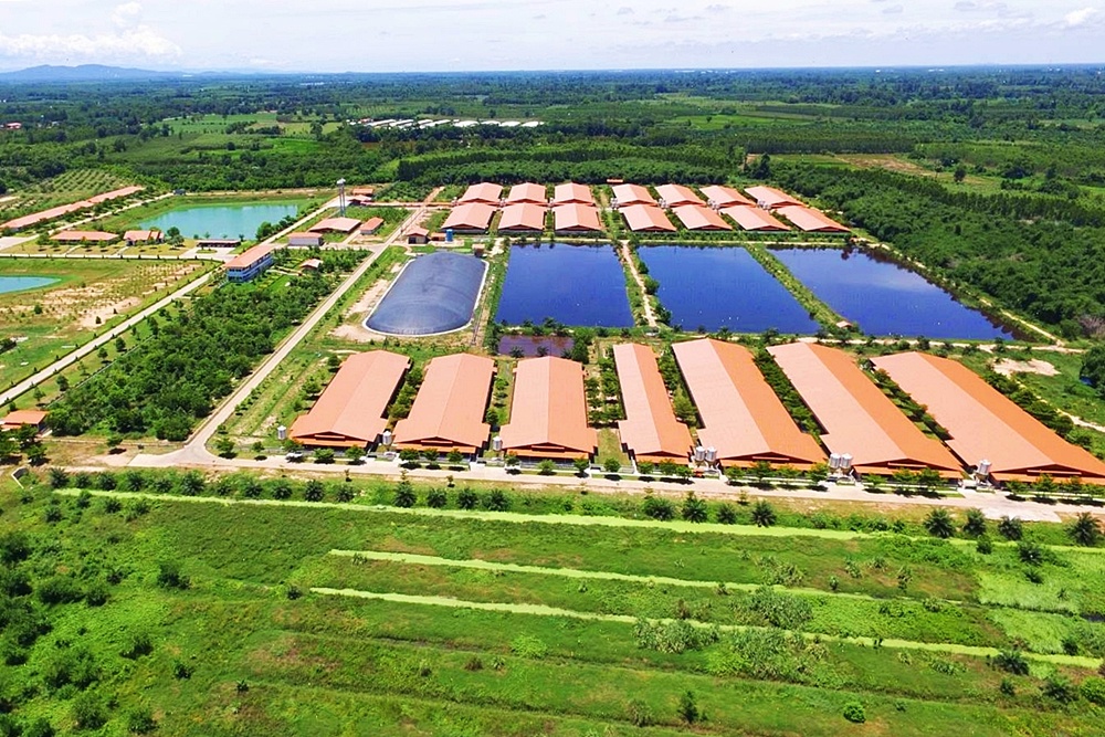 CPF เดินหน้า Greenfarm ฟาร์มรักษ์โลก ดันใช้ ไบโอแก๊ส-โซลาร์ฟาร์ม เป็นพลังงานทดแทน