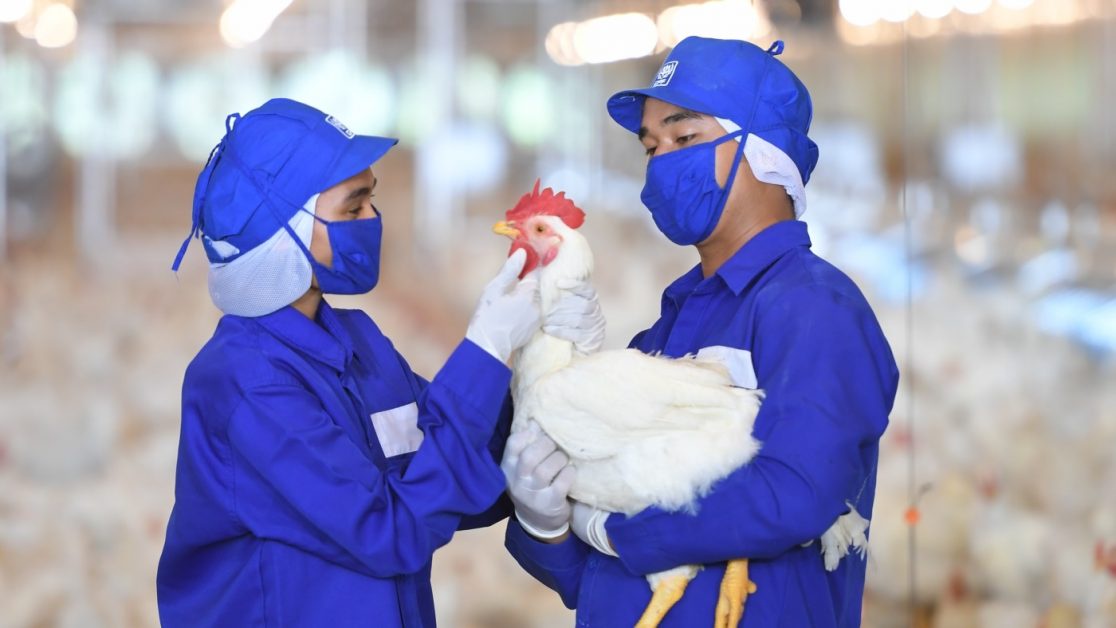 CPF ได้รับรอง LR Farm F1rst ตอกย้ำการผลิตไก่เนื้อคำนึงถึงหลักสวัสดิภาพสัตว์ สร้างความมั่นคงทางอาหาร