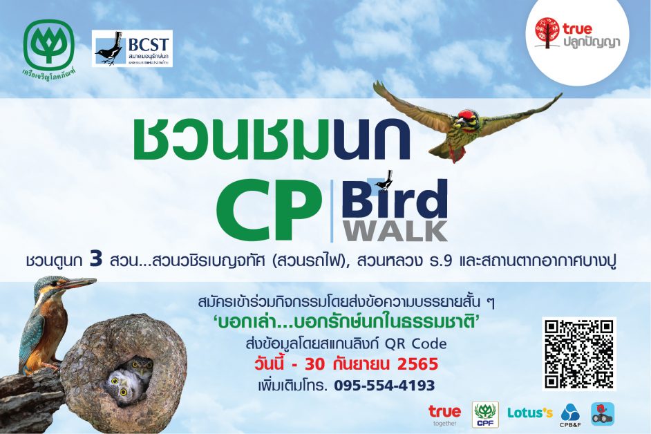 เครือเจริญโภคภัณฑ์จับมือสมาคมอนุรักษ์นกและธรรมชาติ ฯ ชวนเปิดประสบการณ์สุดพิเศษในกิจกรรม ชวนชมนก 'CP Bird Walk' ตลอดเดือนตุลาคม - ธันวาคม 2565