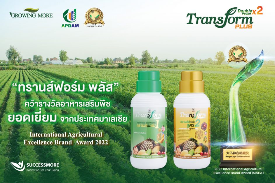 ซัคเซสมอร์ดัน Transform Plus คว้ารางวัล จากมาเลเซีย