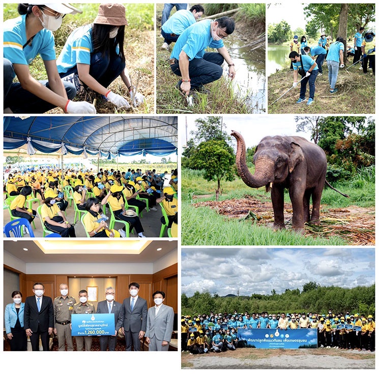 กรุงไทยสานพลัง สร้างสมดุล คน สัตว์ ผืนป่า ด้วยพลังใจจิตอาสา VVE Vayu Volunteer