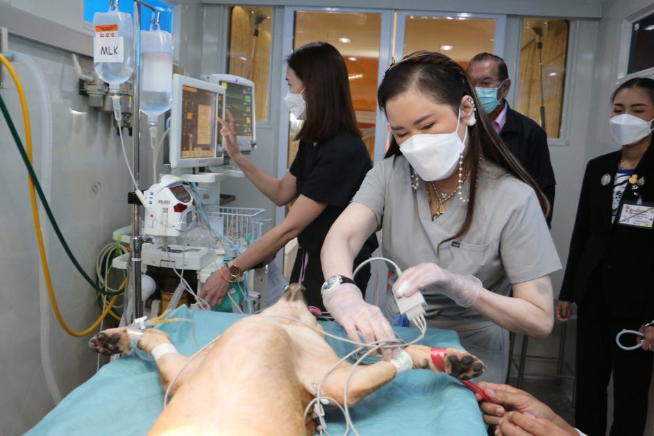 มูลนิธิจุฬาภรณ์ จัดกิจกรรมการกุศลระดมทุนเพื่อจัดซื้อเครื่องมือและอุปกรณ์ทางการสัตวแพทย์ในรถผ่าตัดเคลื่อนที่