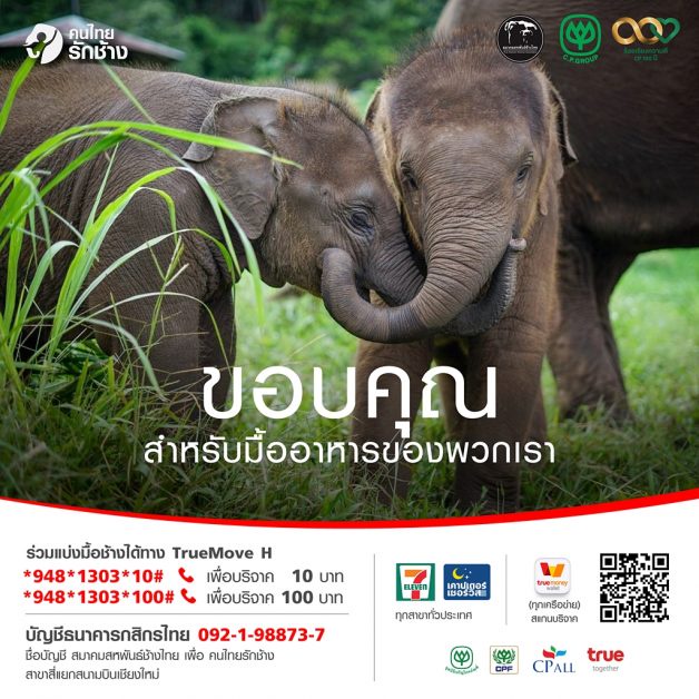 ซีพีเอฟ หนุนโครงการ คนไทยรักช้าง ปี 2 มอบอาหารช้าง 60 ตัน ช่วยช้างทั่วไทยฝ่าวิกฤตโควิด-19