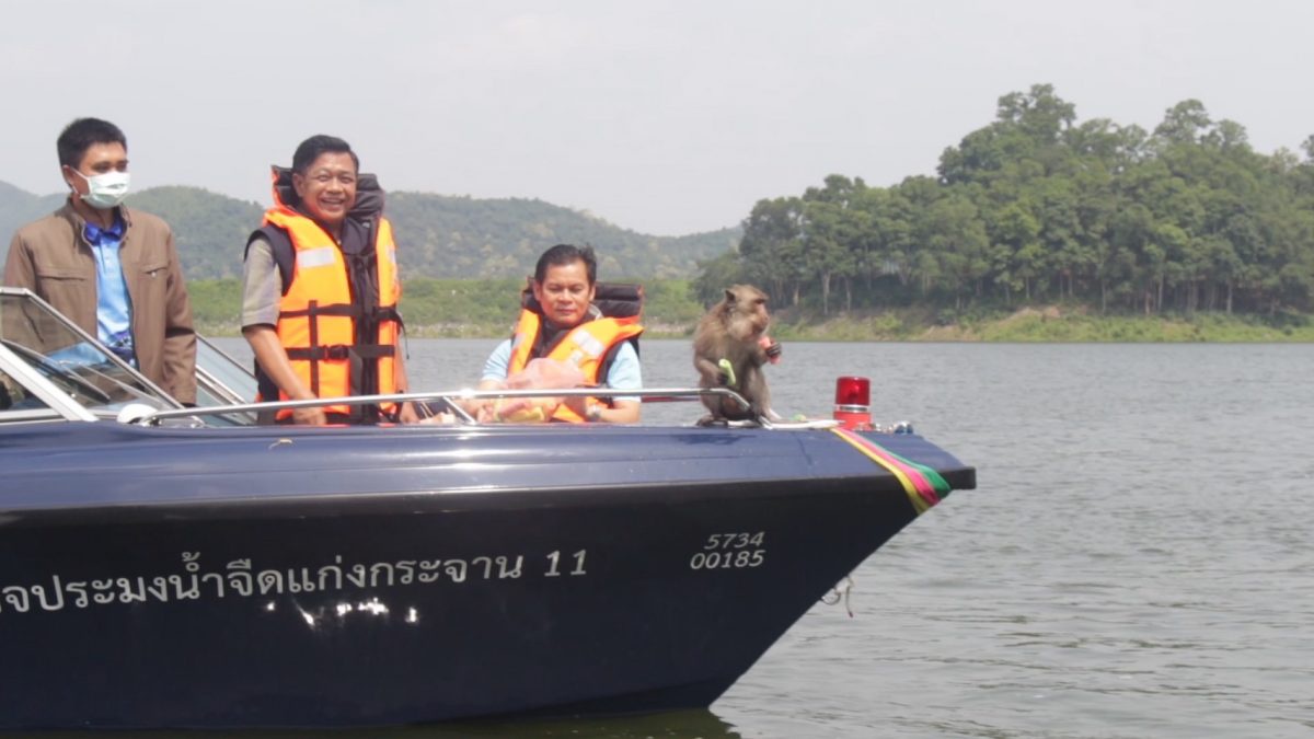 กระทรวงเกษตรฯ ผนึกจังหวัดเพชรบุรีเดินหน้าโครงการแก้ไขปัญหาลิงแสมพระนครคีรี หวังฟื้นฟูแหล่งท่องเที่ยวสำคัญของเพชรบุรีโดยเร็ว