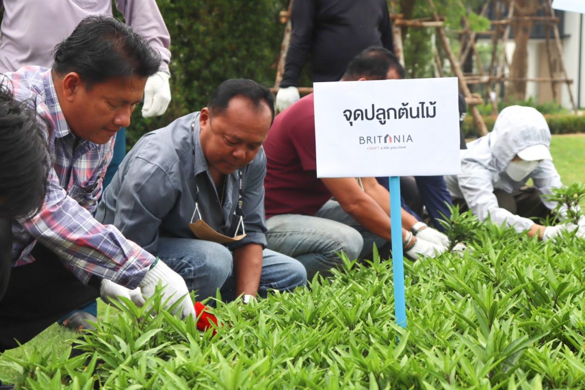 'บริทาเนีย' ปลูกต้นไม้สร้างพื้นที่สีเขียว เพื่อชุมชน