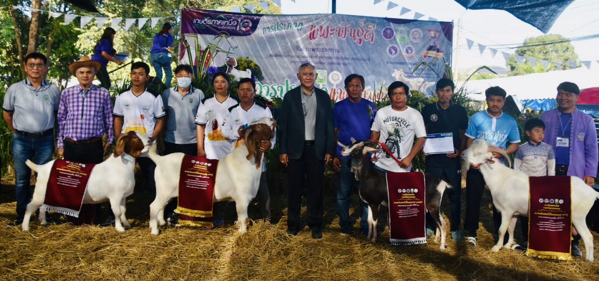 วช. มช. ร่วมกับ ค.พ.ท. ประกวดแพะ ชิงถ้วยรางวัลพระราชทาน ในงาน เกษตรภาคเหนือ ครั้งที่ 10