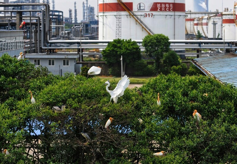 Sinopec Publishes The Sinopec Green and Low-carbon Development White Paper 2022