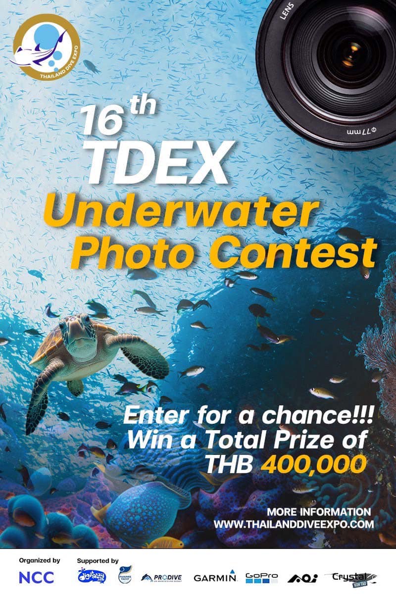 กลับมาอีกครั้ง TDEX ชวนร่วมประกวดภาพถ่ายใต้น้ำ ครั้งที่ 16 ชิงรางวัลรวมกว่า 4 แสนบาท