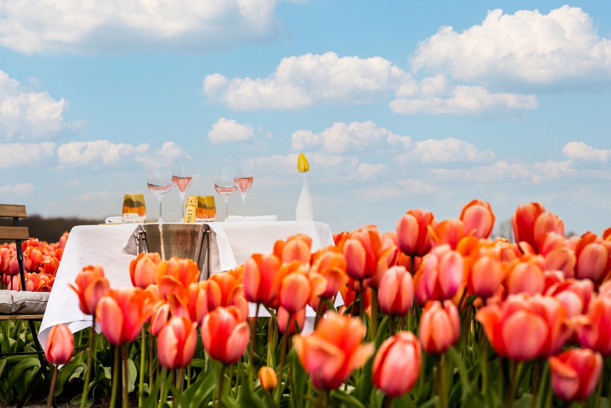 Experience Amsterdam in Full Bloom with Private Tulip Estate Visits Curated by Anantara Grand Hotel Krasnapolsky