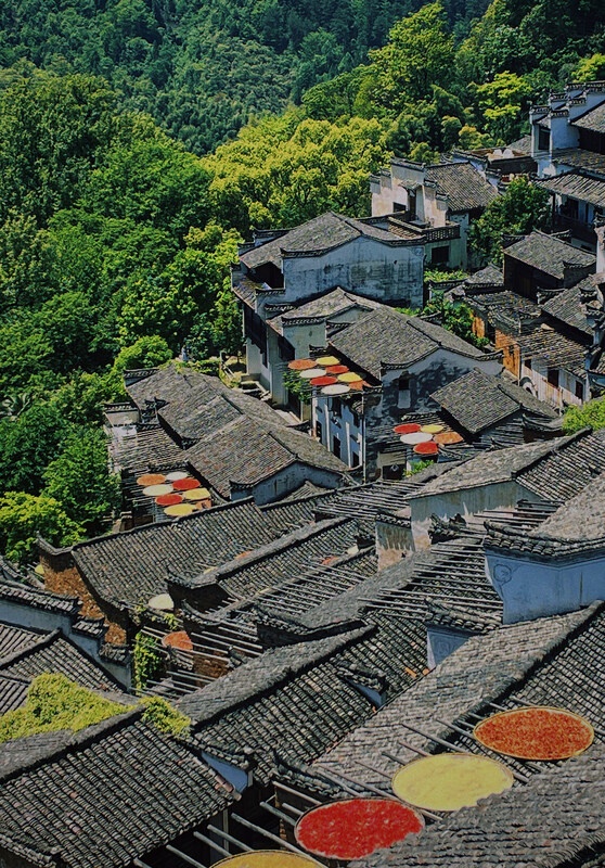 Discover an eco-friendly China through the lenses of expats