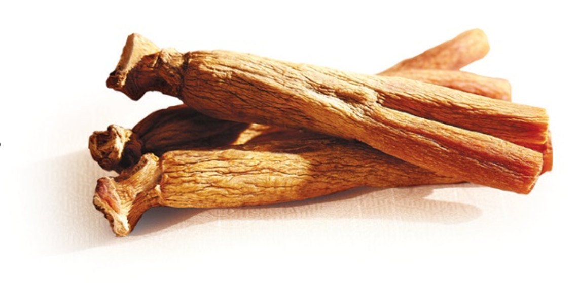 The Korean Society of Ginseng confirms the effects of consuming red ginseng in the prevention and improvement of