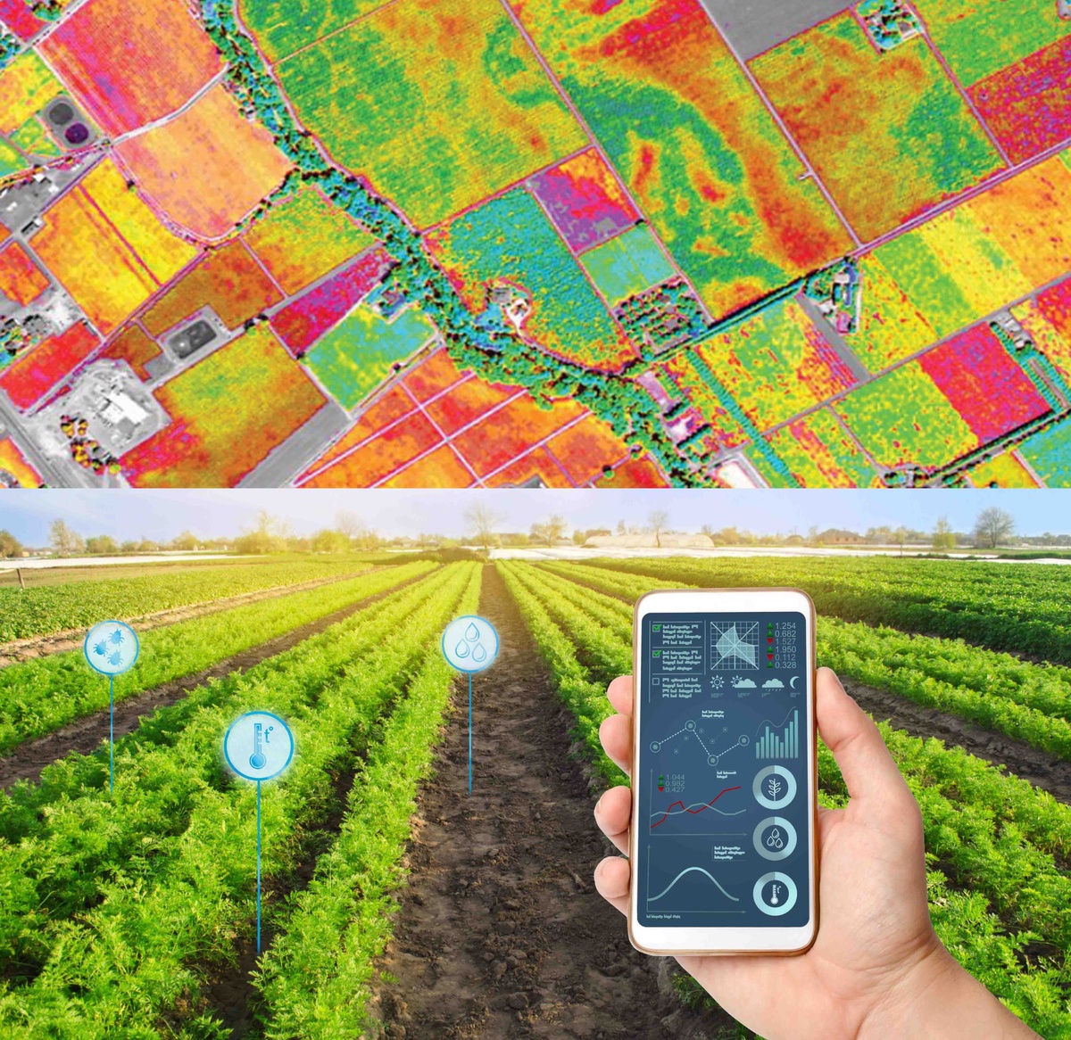 สจล. หนุนเครือข่าย ไทย - เนเธอร์แลนด์ นำนวัตกรรม 'เทคโนโลยีอวกาศ' ยกเครื่องการเกษตรยั่งยืนและอาหารมั่นคง