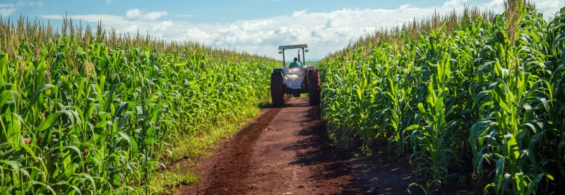 CP Foods Advances Efforts to Combat Haze and PM 2.5 Dust in its Corn Supply Chain