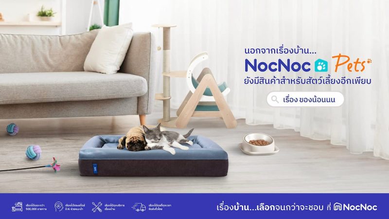 NocNoc ขยายหมวดสินค้า Pets Category เจาะกลุ่มคุณพ่อ-คุณแม่น้อน ๆ สร้าง Pets Destination แหล่งช้อปแห่งใหม่ เพื่อบ้านที่เป็นมิตรกับทั้งคนและสัตว์เลี้ยง