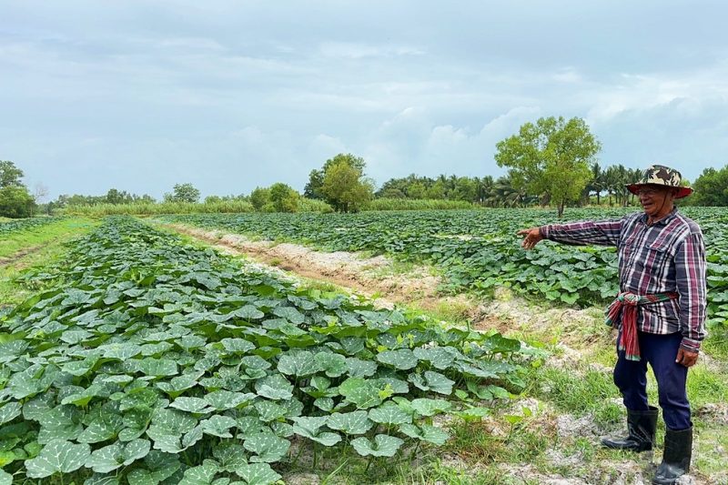 ซีพีเอฟปันน้ำปุ๋ย ปีที่ 23 เกษตรกรปลื้ม ช่วยลดต้นทุน-ผ่านพ้นวิกฤตแล้ง