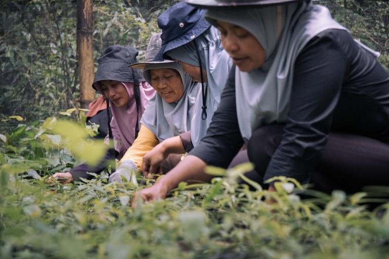 Resilience in the Rainforest Women Leading Conservation Efforts in Southeast Asia