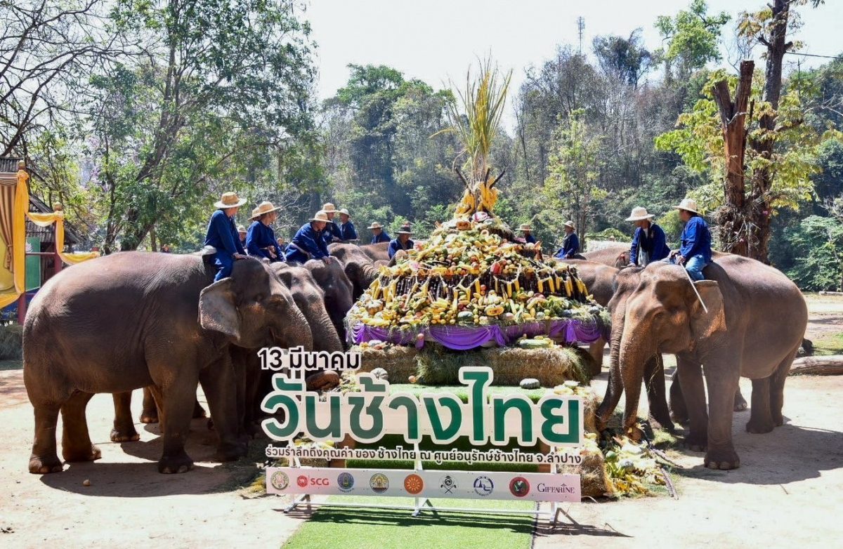 อ.อ.ป. - ส.คช. จัดงาน วันช้างไทย 2567 มุ่งหวังคนไทยเชิดชูเกียรติ - เห็นคุณค่าของช้างไทย