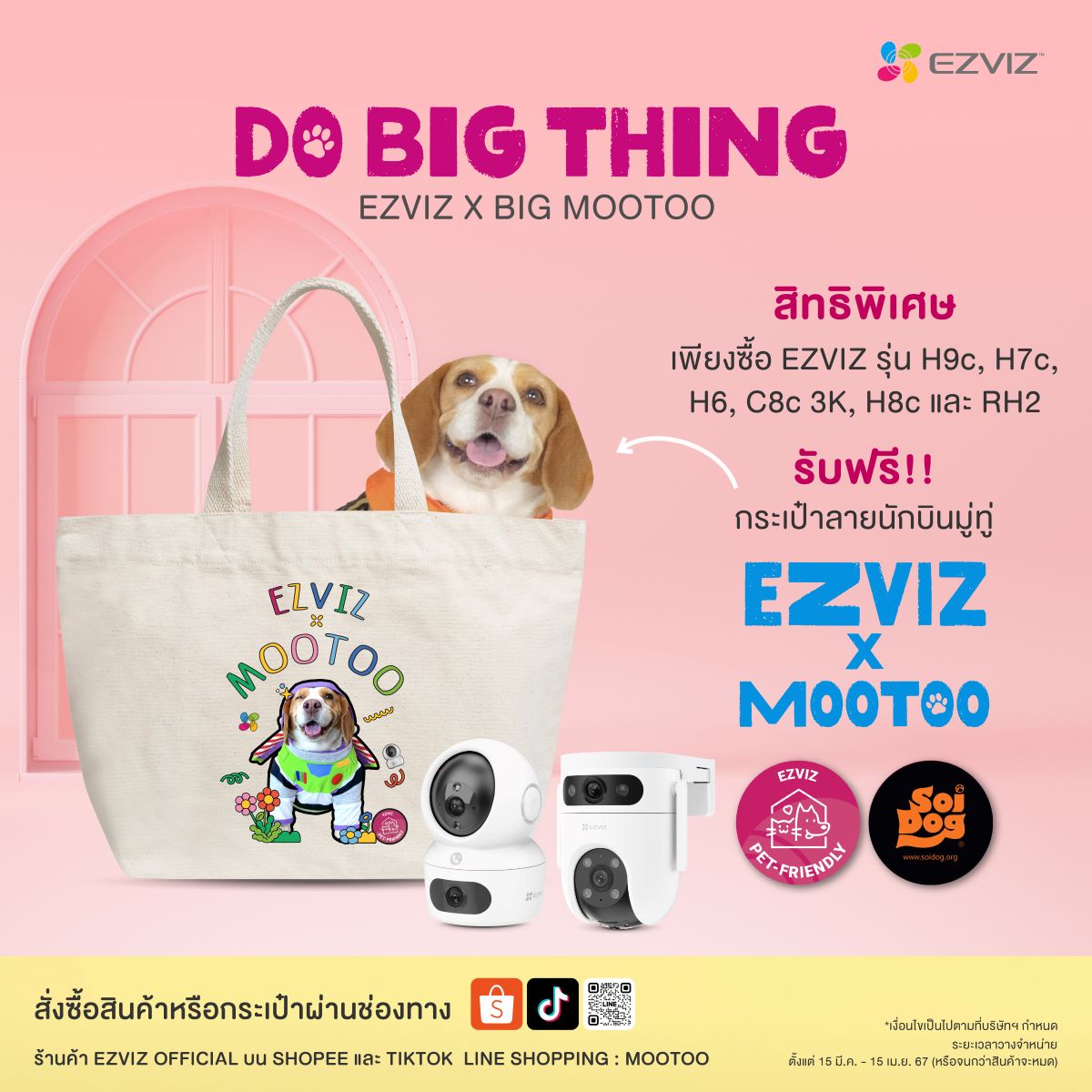 อีซี่วิซชวนลูกค้าร่วมส่งต่อความสุข สู่น้องหมาไร้บ้าน จับมือ Pet Influencer Big MooToo จัดแคมเปญ Do Big Thing จำหน่ายสินค้าเอ็กซ์คลูซีฟอิดิชั่น นำรายได้ช่วยเหลือมูลนิธิเพื่อสุนัขในซอย