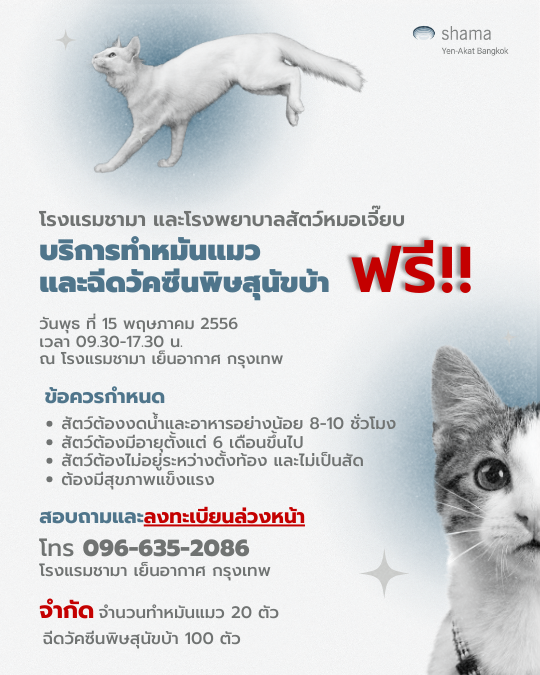 Shama Yen-Akat Bangkok โรงแรม Pet Friendly ย่านสาทร เล็งเห็นปัญหาสัตว์ไร้บ้าน เปิดโครงการ Shama อาสา ทำหมันแมวและฉีดวัคซีนพิษสุนัขบ้าฟรี ให้แก่ชุมชนในพื้นที่ใกล้เคียง