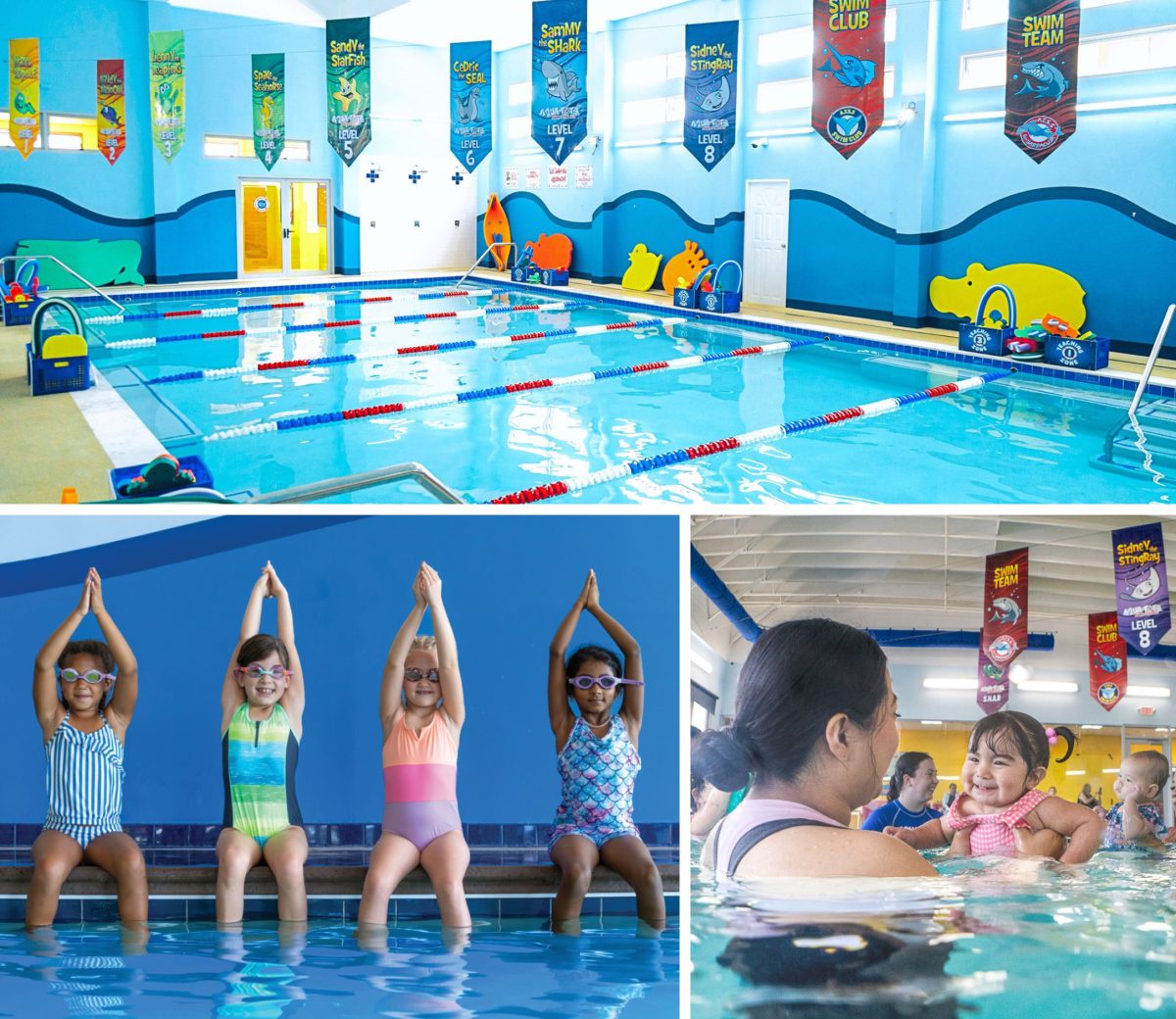 Aqua-Tots Swim Schools แฟรนไชส์โรงเรียนสอนว่ายน้ำระดับโลก บุกตลาดไทย การันตีด้วยคลาสเรียน 42 ล้านครั้ง ด้วยประสบการณ์ยาวนานกว่า 30 ปี