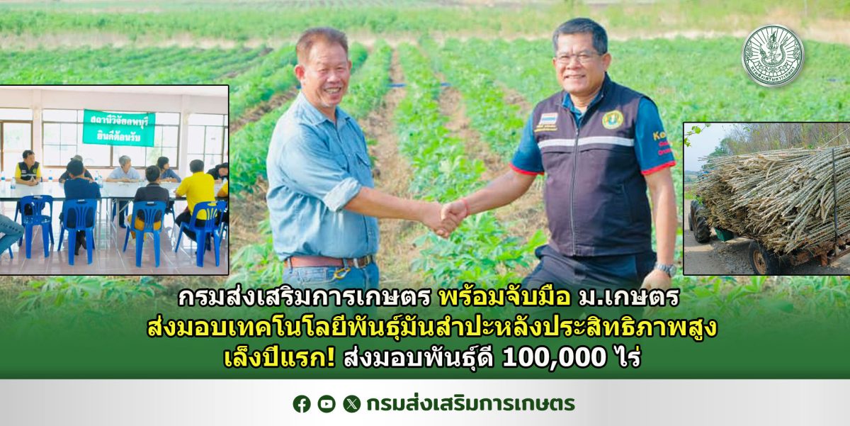 กรมส่งเสริมการเกษตร พร้อมจับมือ ม.เกษตร ส่งมอบเทคโนโลยีพันธุ์มันสำปะหลังประสิทธิภาพสูง เล็งปีแรก! ส่งมอบพันธุ์ดี 100,000 ไร่