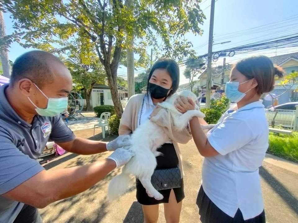 กทม.รุกมาตรการเฝ้าระวัง-ป้องกันการแพร่ระบาดโรคพิษสุนัขบ้า ตั้งเป้าทำหมัน-ฉีดวัคซีน 200,000 ตัวในปี 67