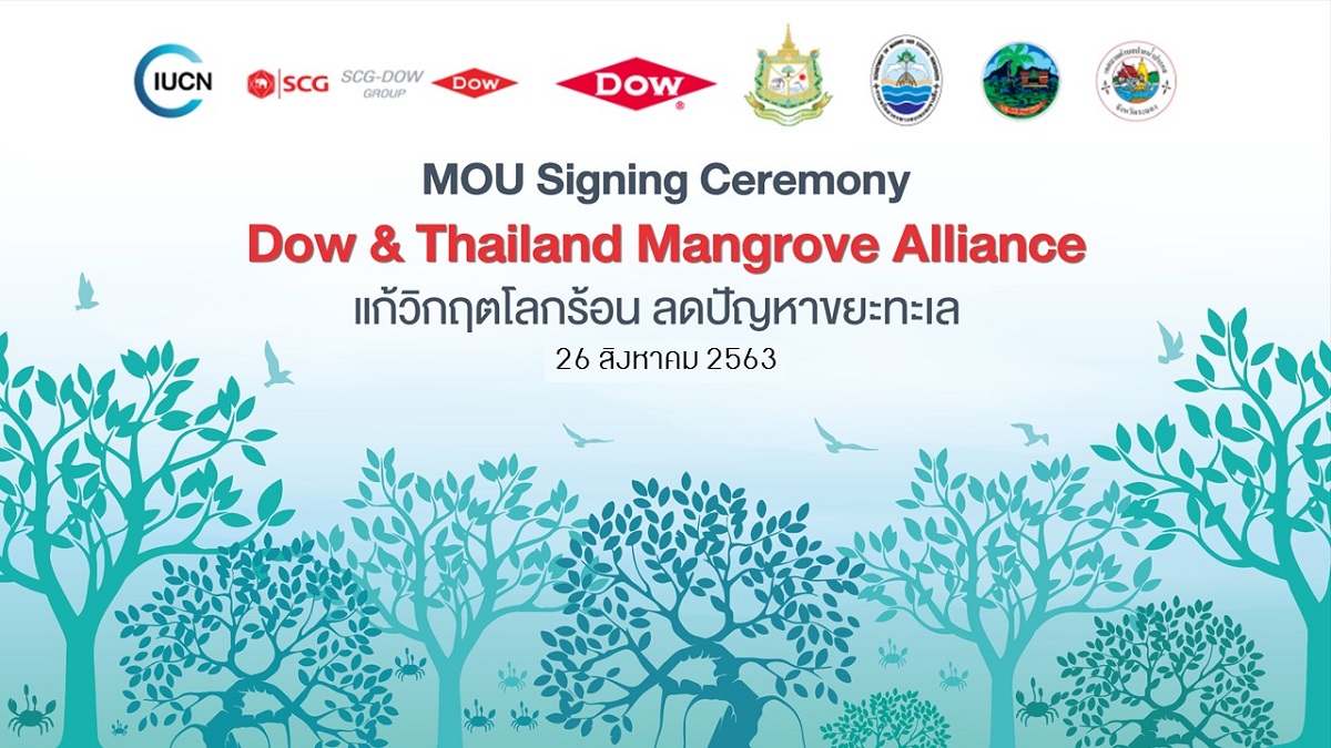 Dow - ทช. - IUCN พร้อมเซ็น MOU ชูปากน้ำประแส นำร่องโครงการ Dow Thailand Mangrove Alliance