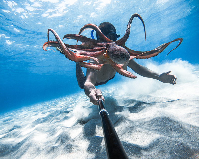 PADI และ GoPro จัดแคมเปญ วันเซลฟี่ใต้น้ำ ครั้งแรกเพื่อรณรงค์อนุรักษ์มหาสมุทร