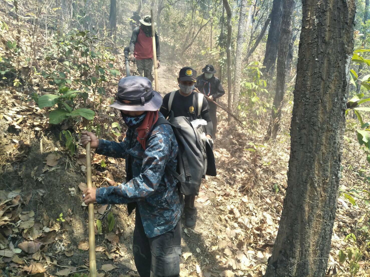 กรมป่าไม้สร้างเครือข่ายไฟป่า ช่วยปชช.ชาวไทยบนที่สูง บ้านแม่เกิบ เชียงใหม่ ยกระดับคุณภาพชีวิตปชช.